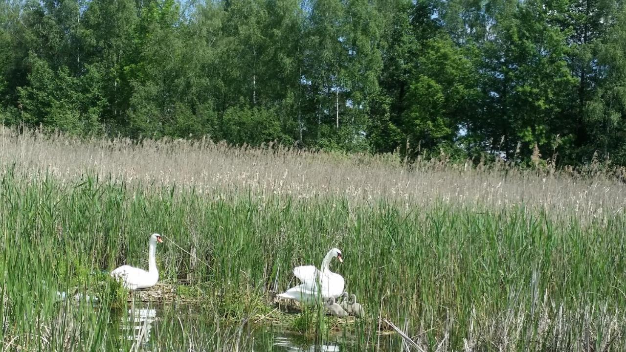 Domek Mazury - Jezioro Orzysz Ngoại thất bức ảnh